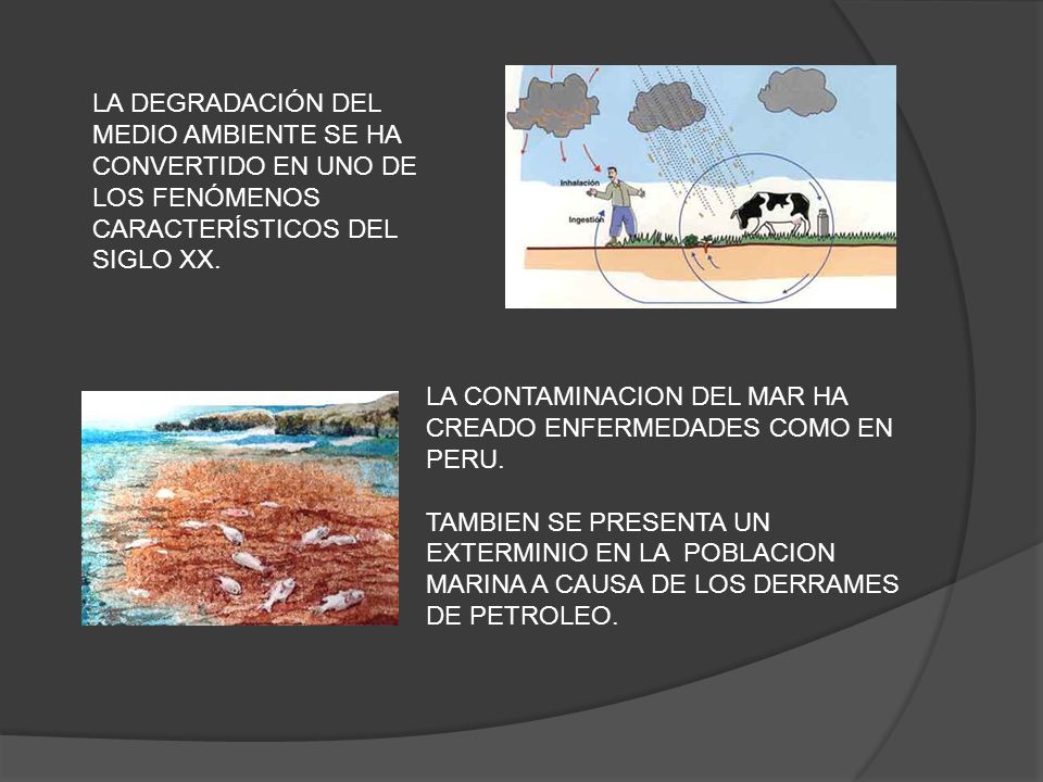 LA DEGRADACIÓN DEL MEDIO AMBIENTE SE HA CONVERTIDO EN UNO DE LOS FENÓMENOS CARACTERÍSTICOS DEL SIGLO XX.