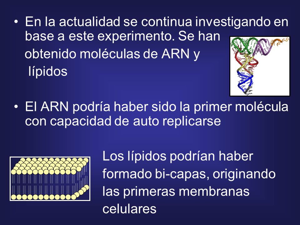 En la actualidad se continua investigando en base a este experimento