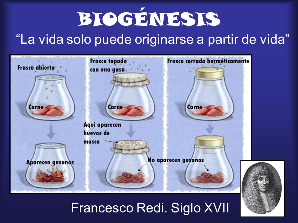 BIOGÉNESIS La vida solo puede originarse a partir de vida