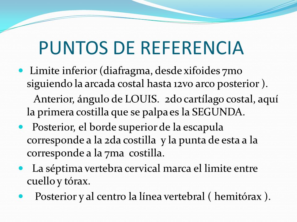 PUNTOS DE REFERENCIA Limite inferior (diafragma, desde xifoides 7mo siguiendo la arcada costal hasta 12vo arco posterior ).