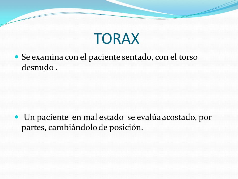 TORAX Se examina con el paciente sentado, con el torso desnudo .