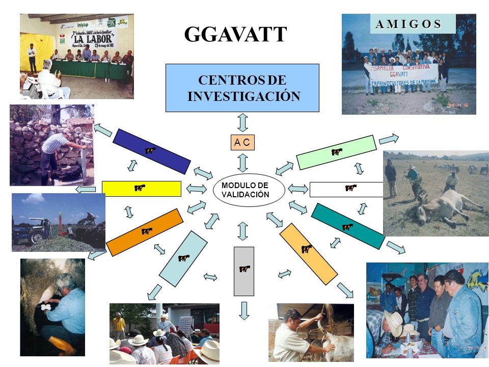 MODULO DE VALIDACIÓN A C CENTROS DE INVESTIGACIÓN GGAVATT A M I G O S