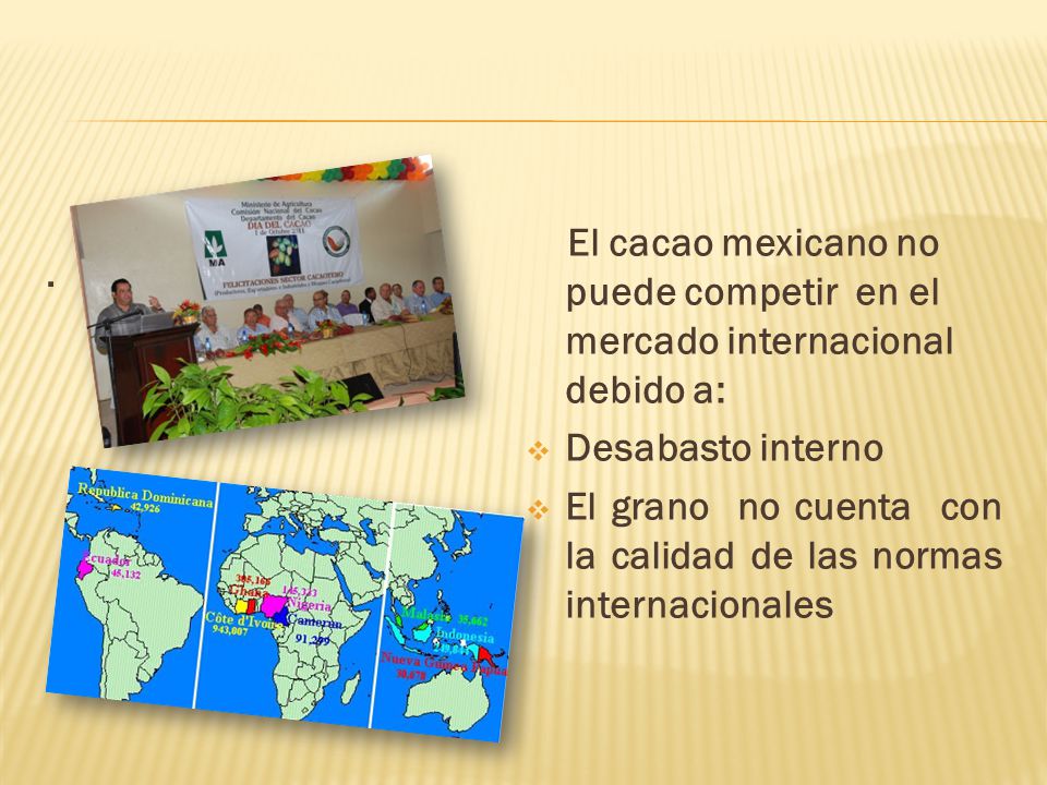 . El cacao mexicano no puede competir en el mercado internacional debido a: Desabasto interno.