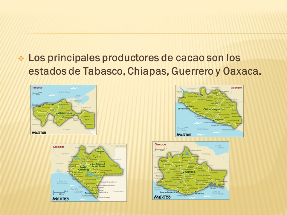 Los principales productores de cacao son los estados de Tabasco, Chiapas, Guerrero y Oaxaca.