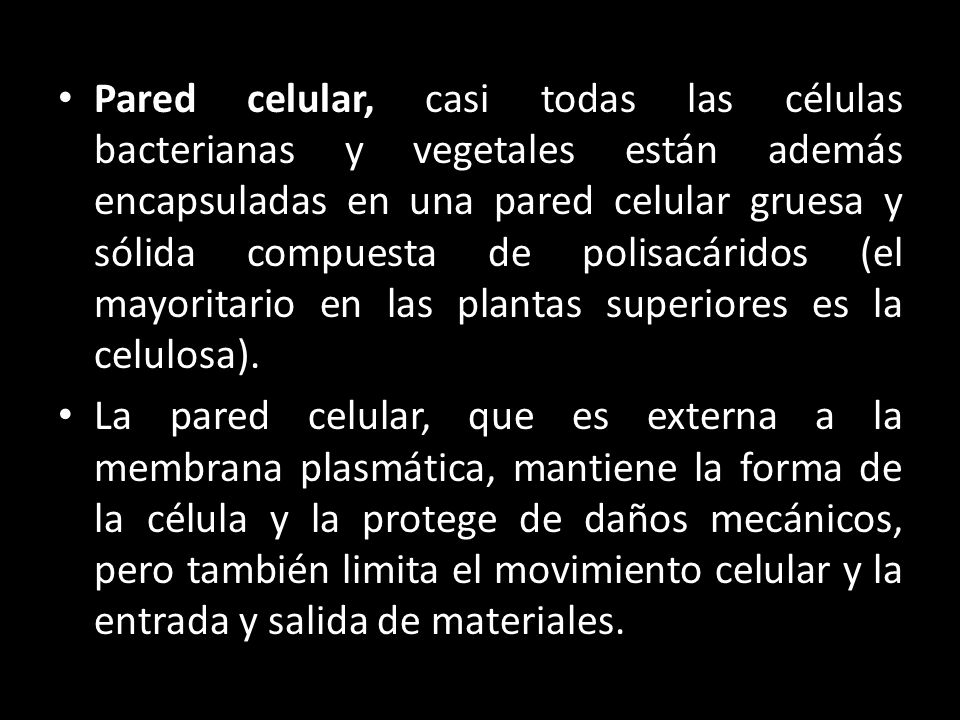 Pared celular, casi todas las células bacterianas y vegetales están además encapsuladas en una pared celular gruesa y sólida compuesta de polisacáridos (el mayoritario en las plantas superiores es la celulosa).