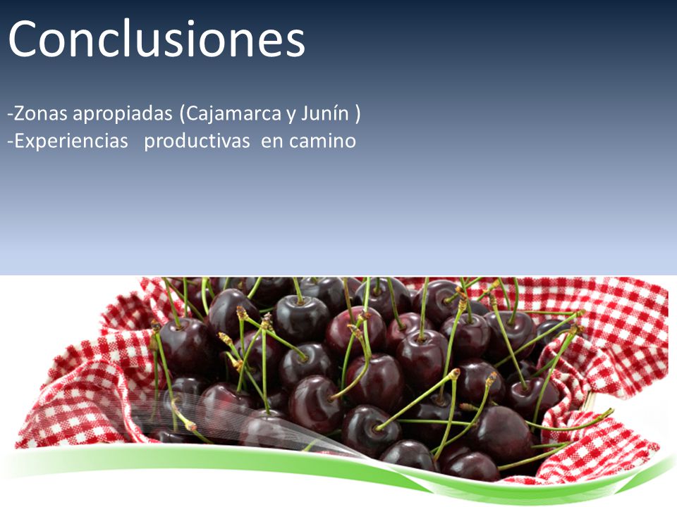 Conclusiones Zonas apropiadas (Cajamarca y Junín )