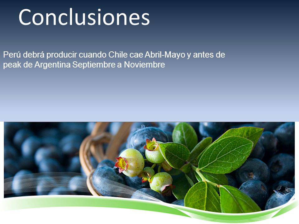 Conclusiones Perú debrá producir cuando Chile cae Abril-Mayo y antes de peak de Argentina Septiembre a Noviembre.