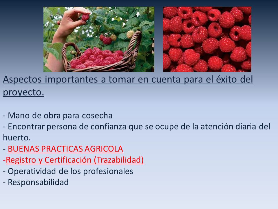 Aspectos importantes a tomar en cuenta para el éxito del proyecto.
