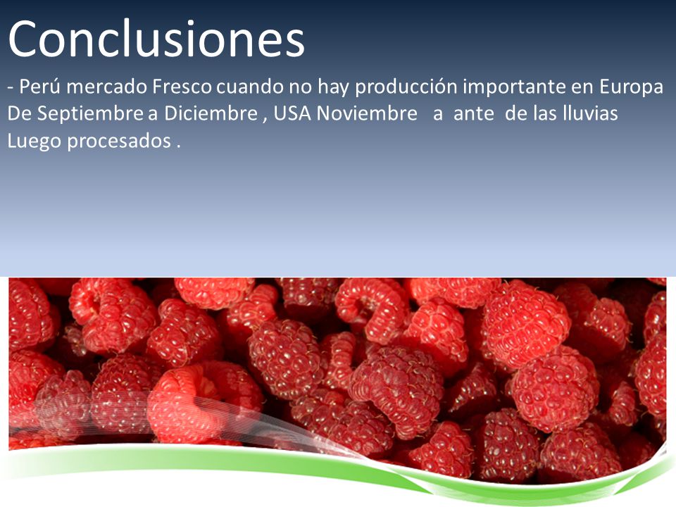 Conclusiones - Perú mercado Fresco cuando no hay producción importante en Europa.