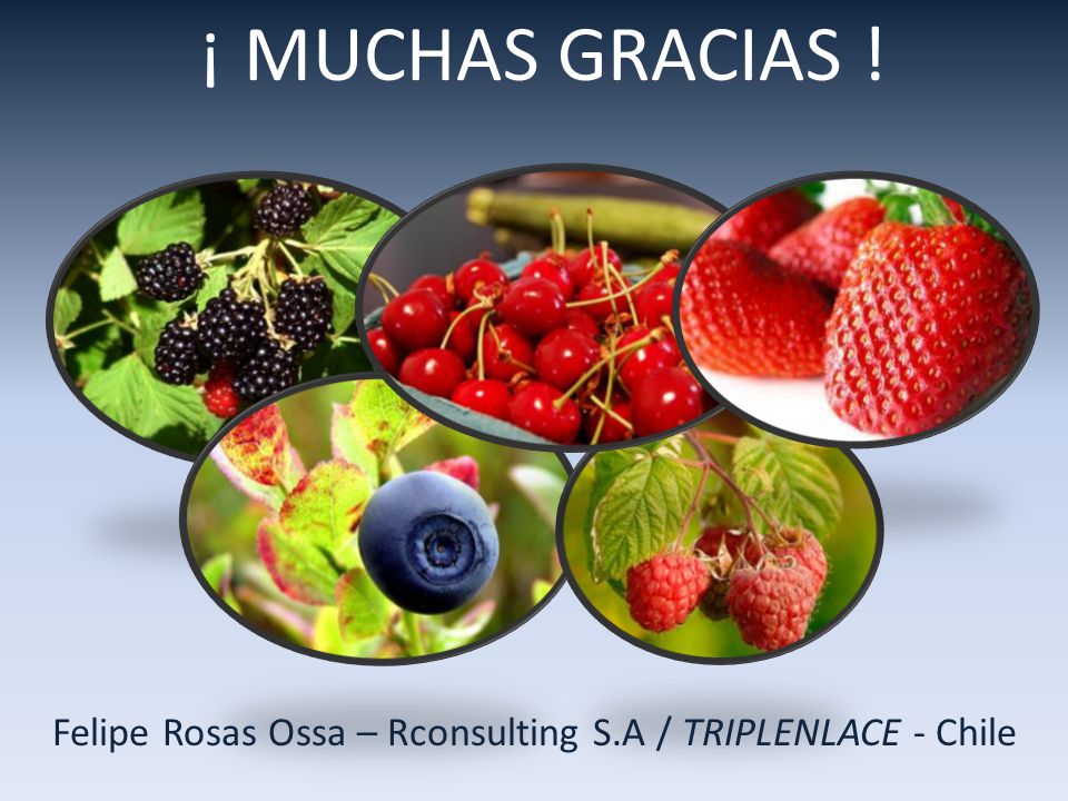 Felipe Rosas Ossa – Rconsulting S.A / TRIPLENLACE - Chile