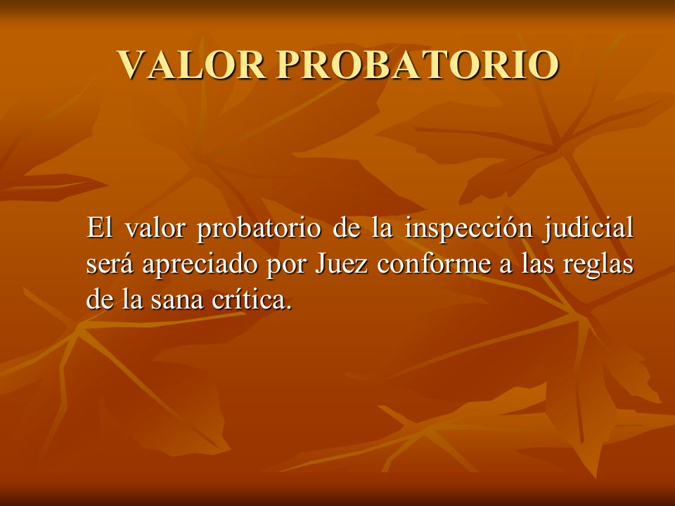VALOR PROBATORIO El valor probatorio de la inspección judicial será apreciado por Juez conforme a las reglas de la sana crítica.