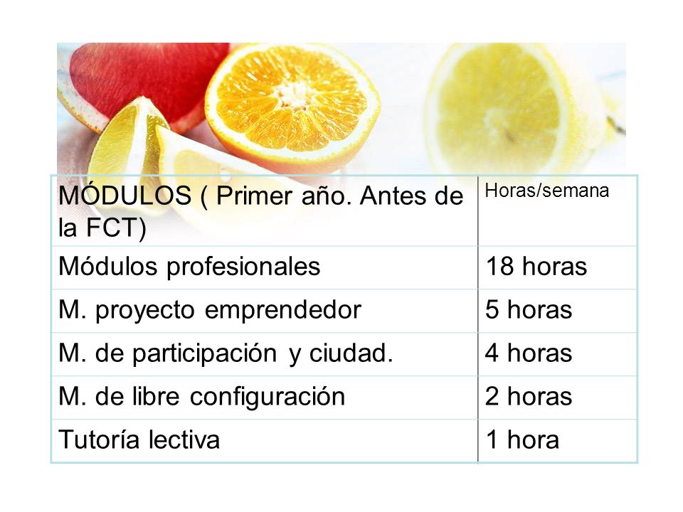 MÓDULOS ( Primer año. Antes de la FCT) Módulos profesionales 18 horas