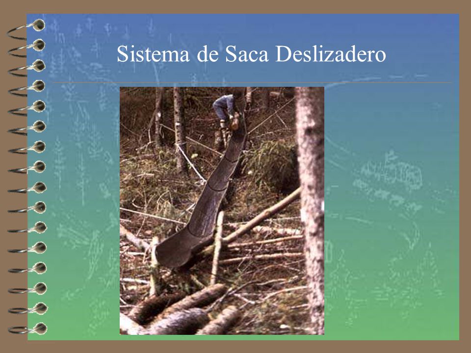 Sistema de Saca Deslizadero