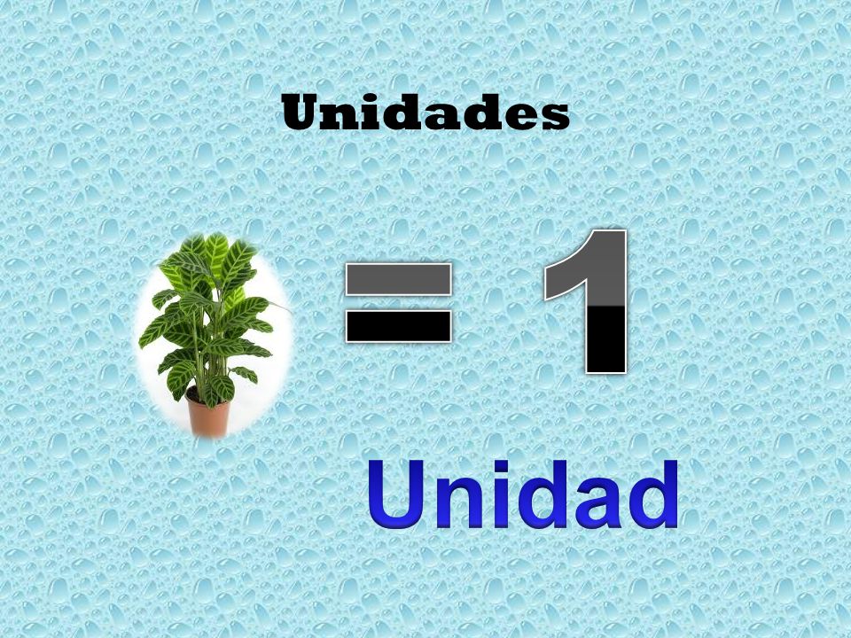 Unidades = 1 Unidad
