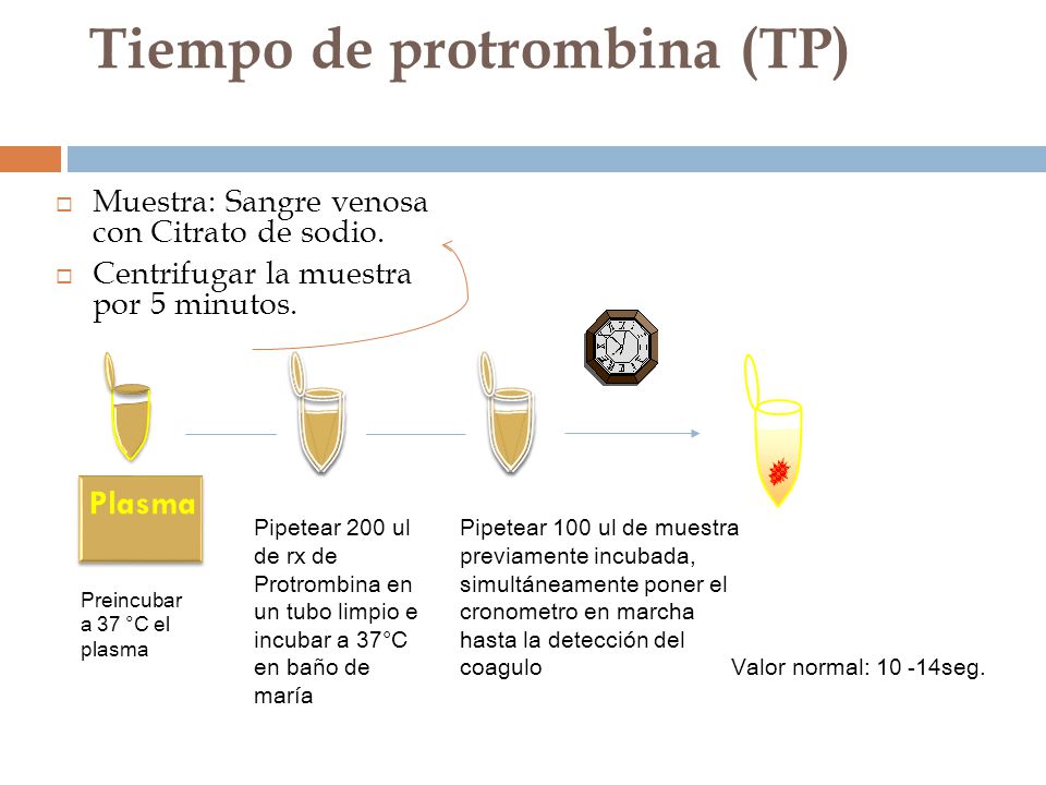 Tiempo de protrombina (TP)