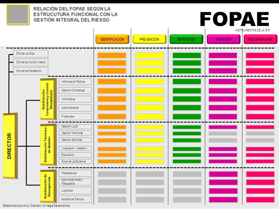 RELACIÓN DEL FOPAE SEGÚN LA ESTRUCUTURA FUNCIONAL CON LA GESTIÓN INTEGRAL DEL RIESGO