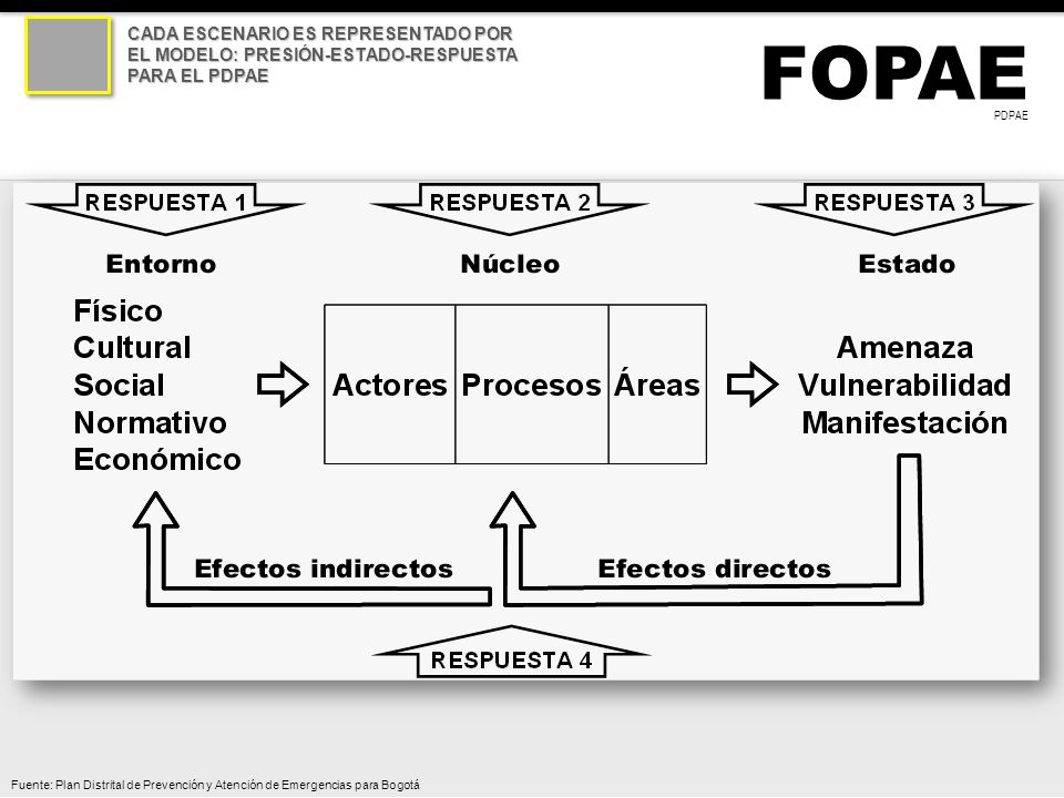 CADA ESCENARIO ES REPRESENTADO POR EL MODELO: PRESIÓN-ESTADO-RESPUESTA PARA EL PDPAE