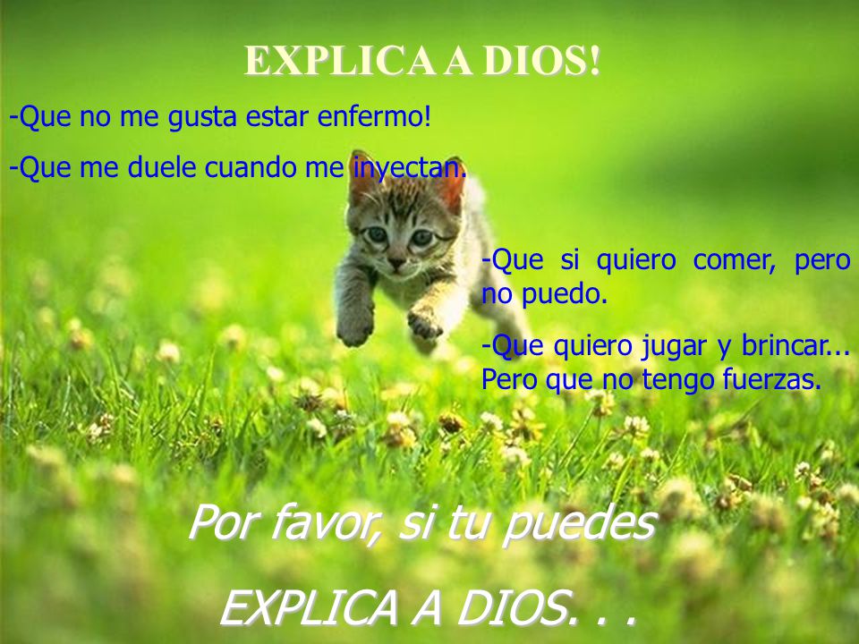 Por favor, si tu puedes EXPLICA A DIOS. . . EXPLICA A DIOS!