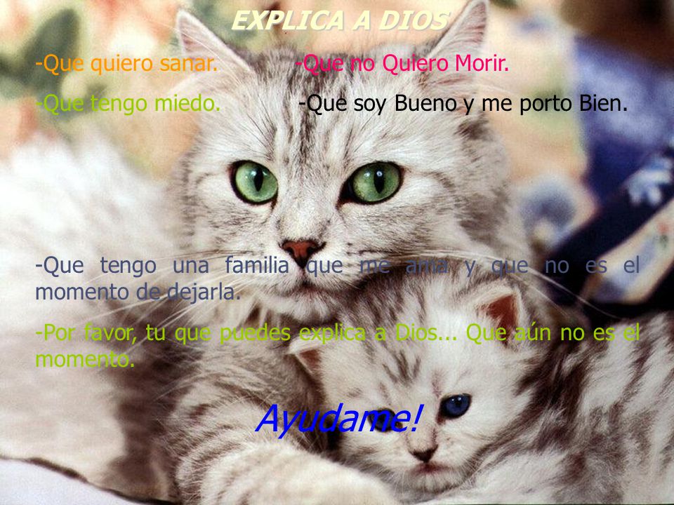 Ayudame! EXPLICA A DIOS Que quiero sanar. -Que no Quiero Morir.