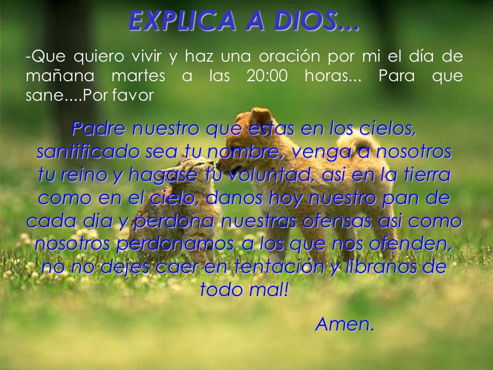 EXPLICA A DIOS... Que quiero vivir y haz una oración por mi el día de mañana martes a las 20:00 horas... Para que sane....Por favor.