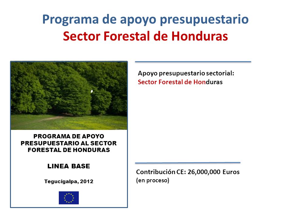 Programa de apoyo presupuestario Sector Forestal de Honduras