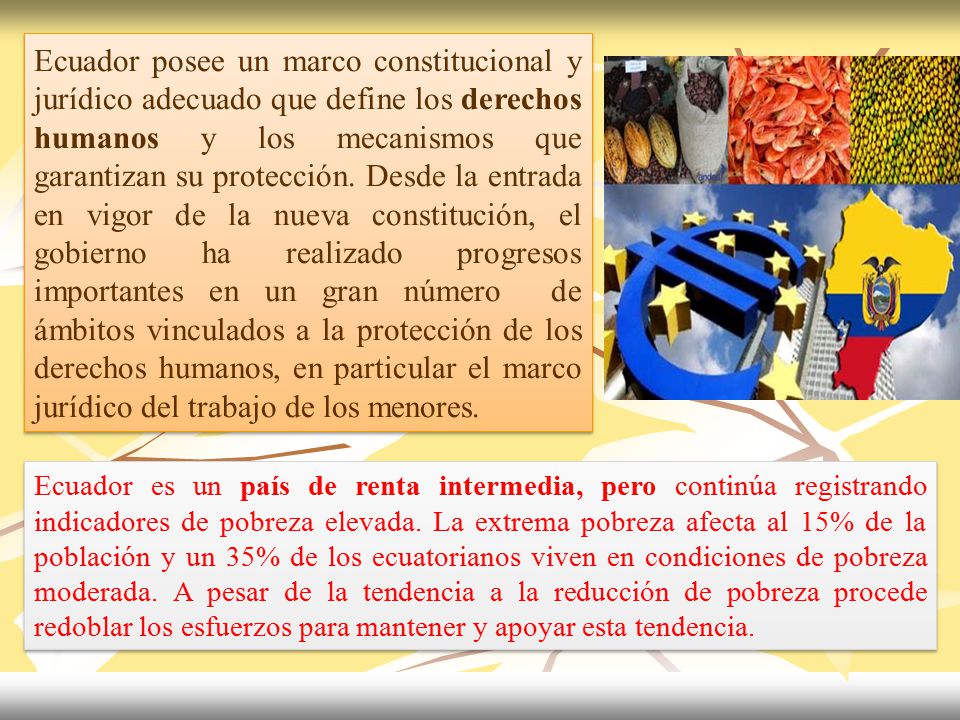Ecuador posee un marco constitucional y jurídico adecuado que define los derechos humanos y los mecanismos que garantizan su protección. Desde la entrada en vigor de la nueva constitución, el gobierno ha realizado progresos importantes en un gran número de ámbitos vinculados a la protección de los derechos humanos, en particular el marco jurídico del trabajo de los menores.