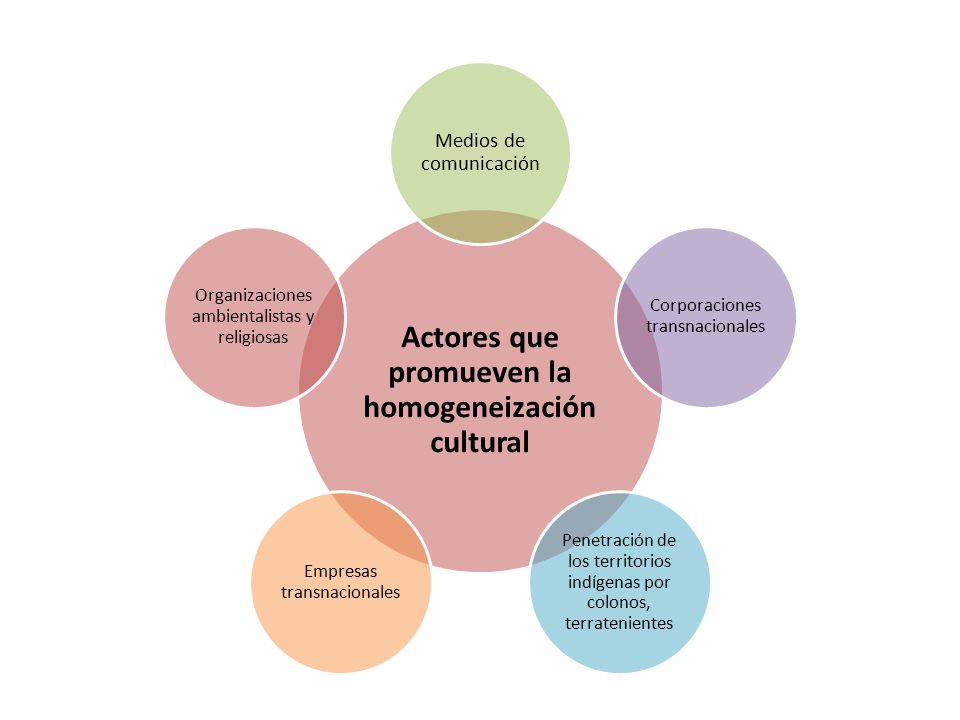 Actores que promueven la homogeneización cultural