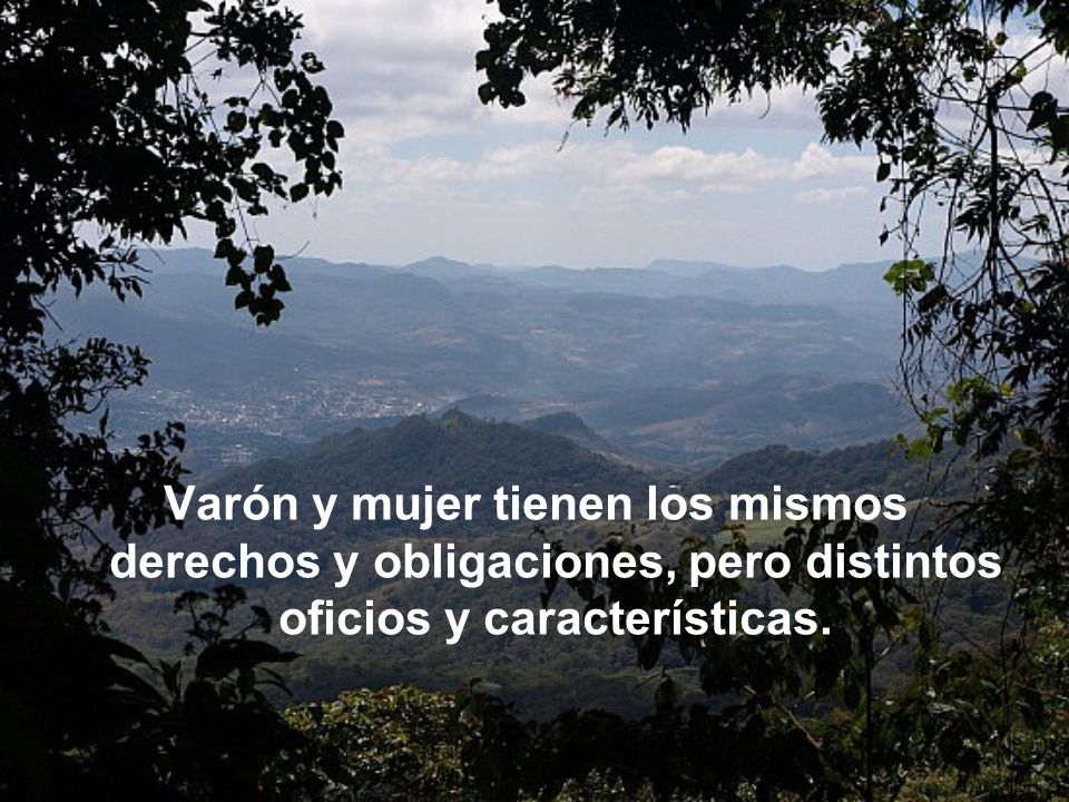 Varón y mujer tienen los mismos derechos y obligaciones, pero distintos oficios y características.