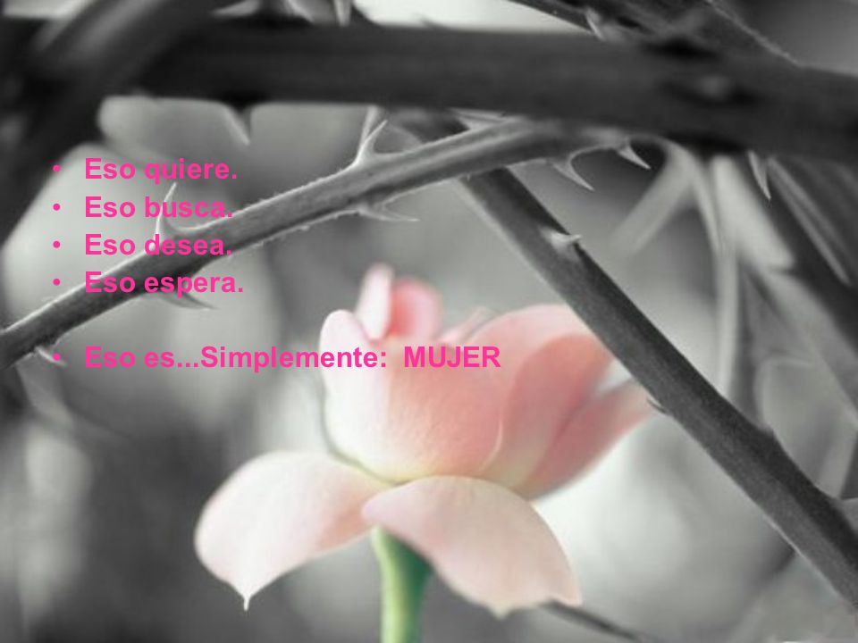 Eso quiere. Eso busca. Eso desea. Eso espera. Eso es...Simplemente: MUJER
