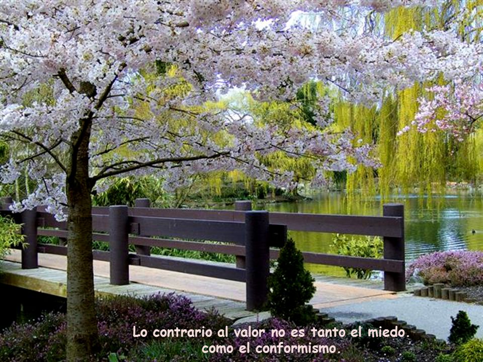 Lo contrario al valor no es tanto el miedo. como el conformismo.