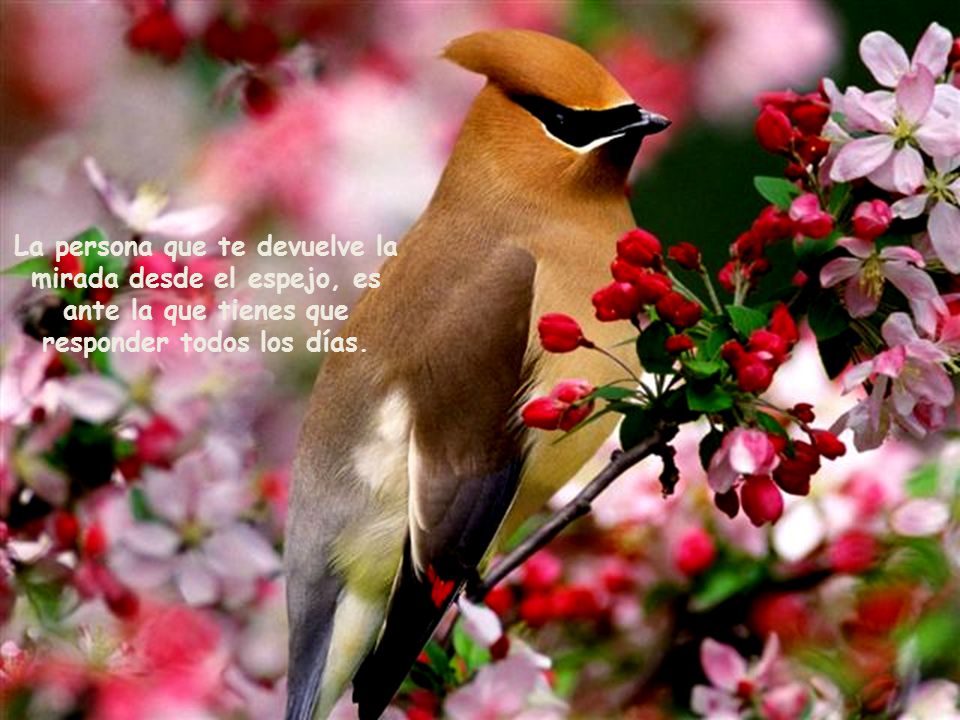La persona que te devuelve la mirada desde el espejo, es ante la que tienes que responder todos los días.