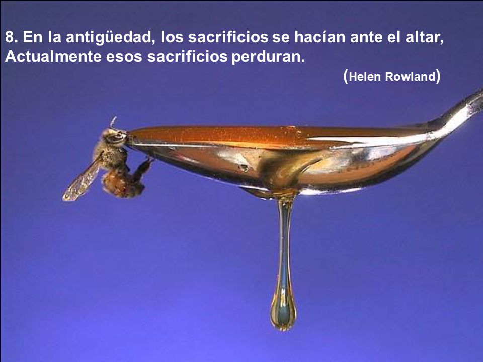 8. En la antigüedad, los sacrificios se hacían ante el altar,