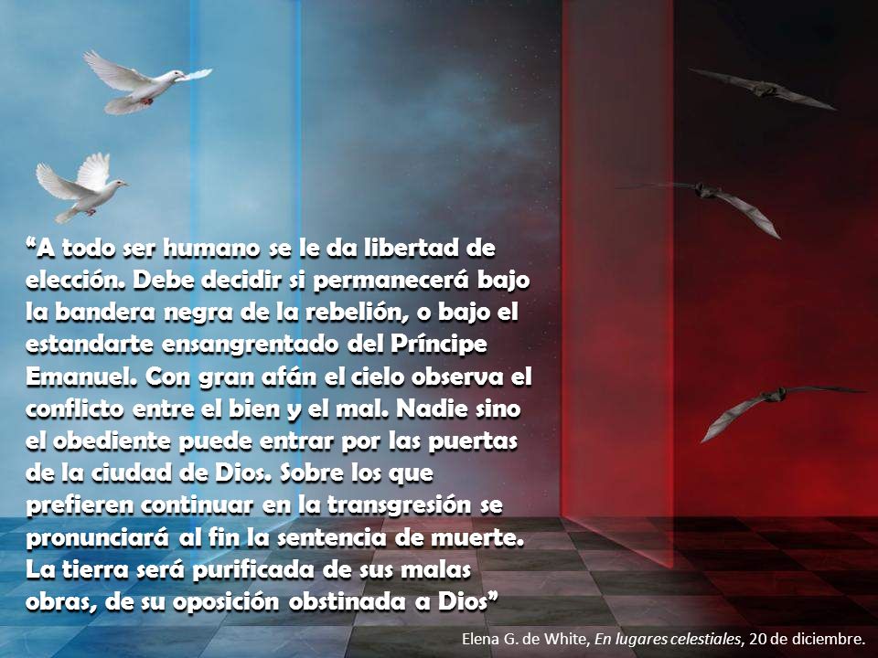 A todo ser humano se le da libertad de elección