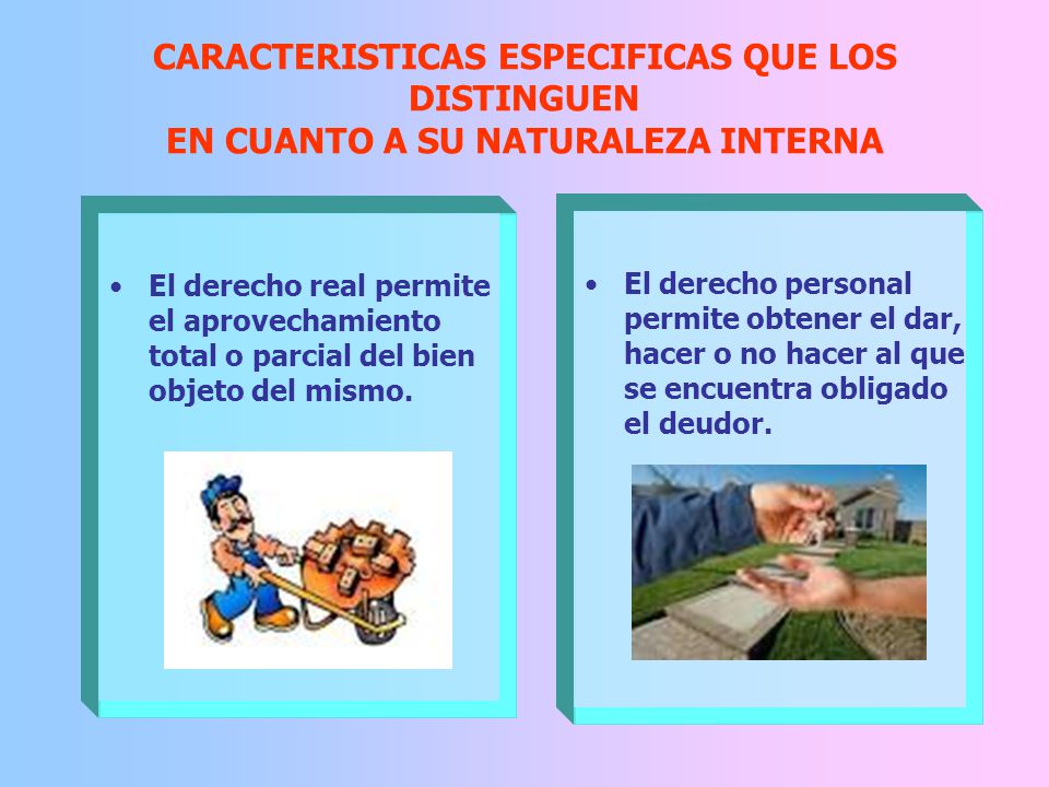 CARACTERISTICAS ESPECIFICAS QUE LOS DISTINGUEN EN CUANTO A SU NATURALEZA INTERNA