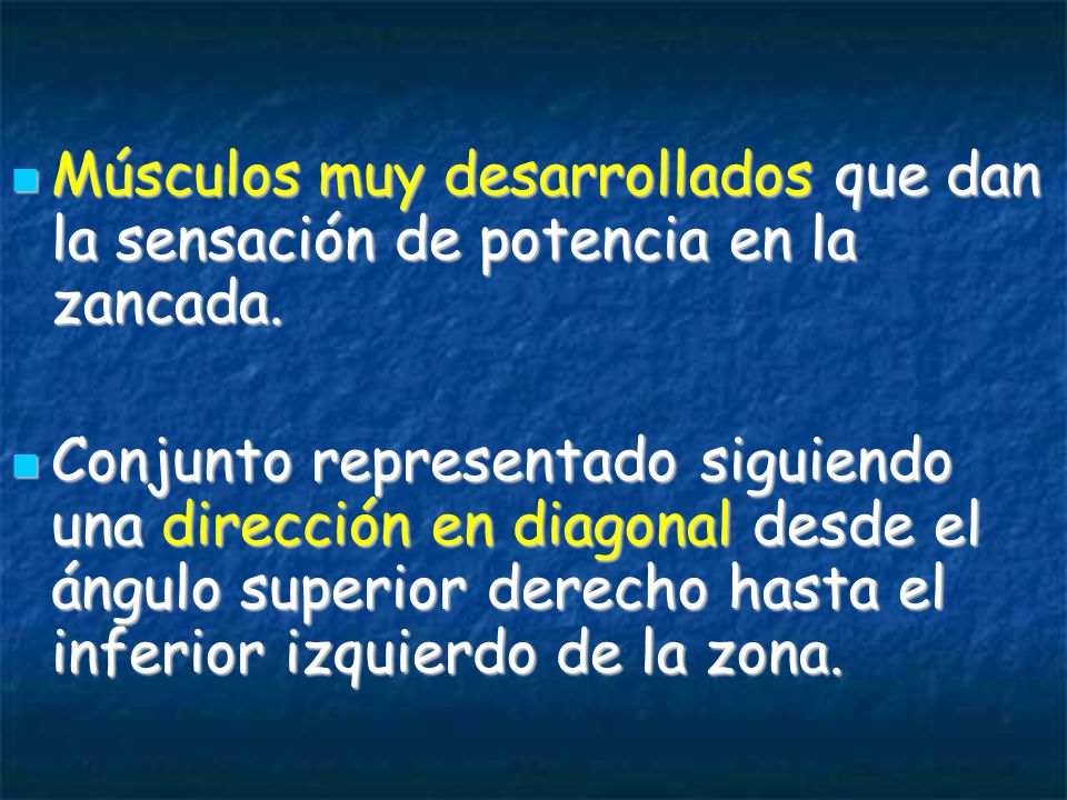 Músculos muy desarrollados que dan la sensación de potencia en la zancada.