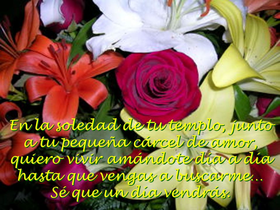 En la soledad de tu templo, junto a tu pequeña cárcel de amor, quiero vivir amándote día a día hasta que vengas a buscarme…
