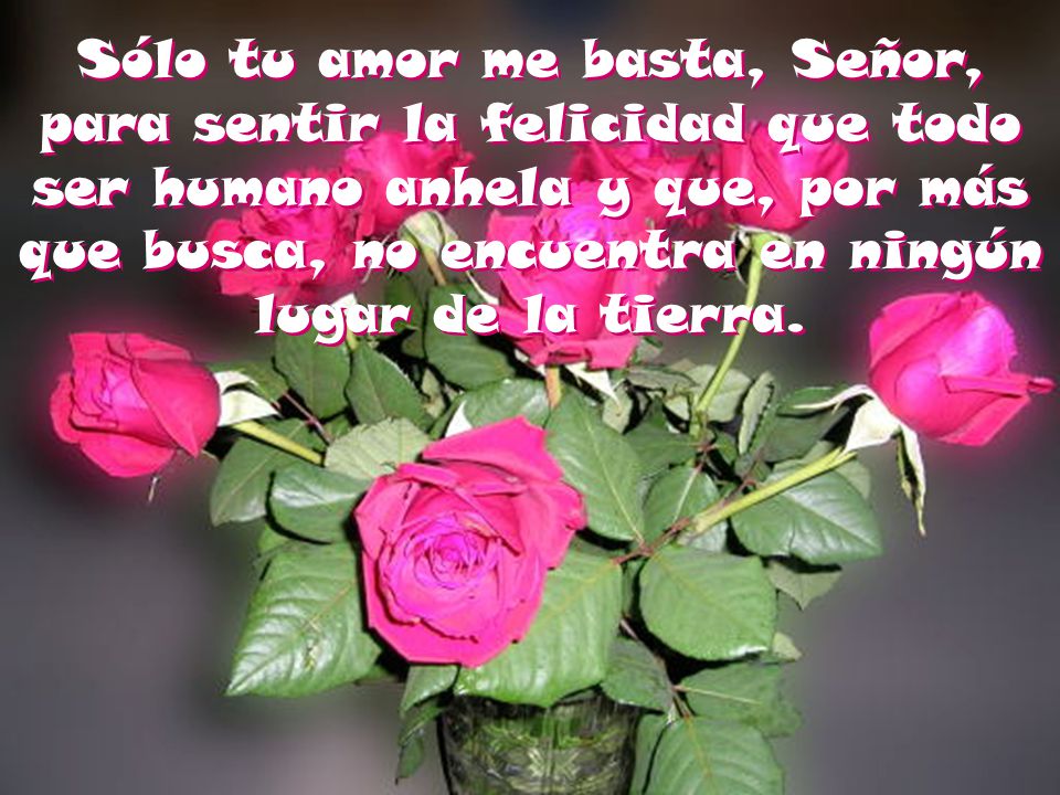 Sólo tu amor me basta, Señor, para sentir la felicidad que todo ser humano anhela y que, por más que busca, no encuentra en ningún lugar de la tierra.