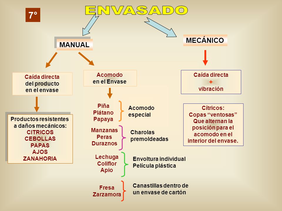 ENVASADO 7° MECÁNICO MANUAL + Acomodo en el Envase Caída directa