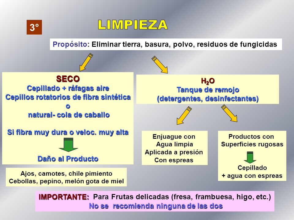 3° LIMPIEZA. Propósito: Eliminar tierra, basura, polvo, residuos de fungicidas. SECO. Cepillado + ráfagas aire.