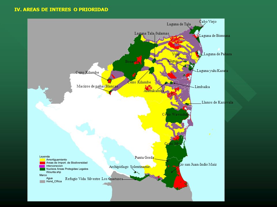 IV. AREAS DE INTERES O PRIORIDAD