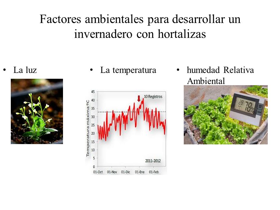 Factores ambientales para desarrollar un invernadero con hortalizas