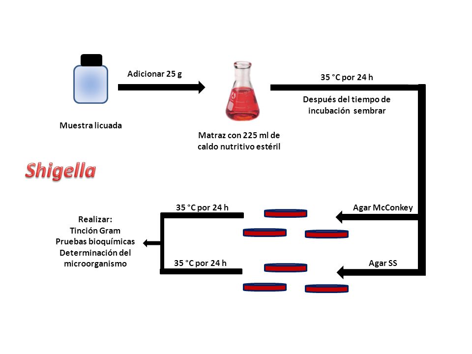 Shigella Adicionar 25 g 35 °C por 24 h