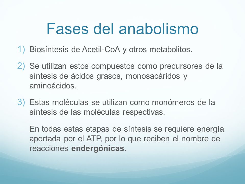 Fases del anabolismo Biosíntesis de Acetil-CoA y otros metabolitos.
