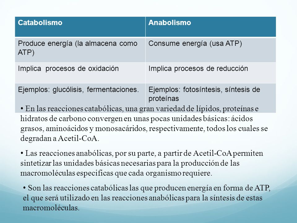 Catabolismo Anabolismo. Produce energía (la almacena como ATP) Consume energía (usa ATP) Implica procesos de oxidación.