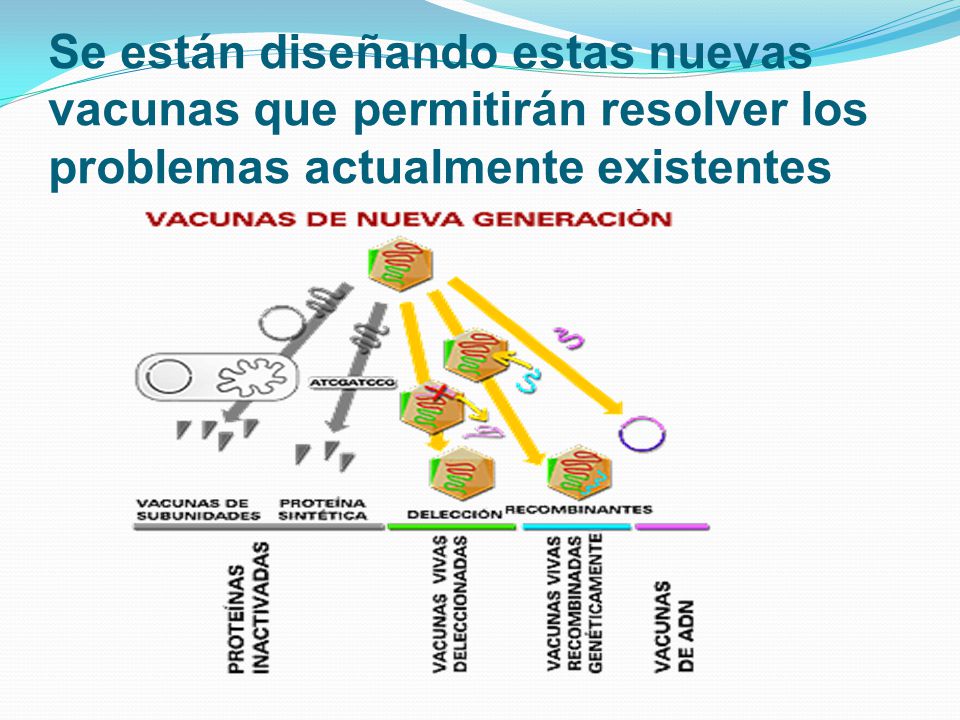 Se están diseñando estas nuevas vacunas que permitirán resolver los problemas actualmente existentes