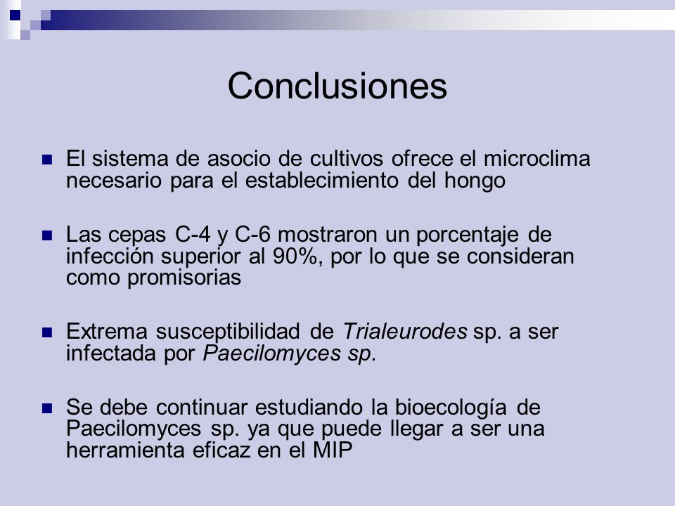 Conclusiones El sistema de asocio de cultivos ofrece el microclima necesario para el establecimiento del hongo.