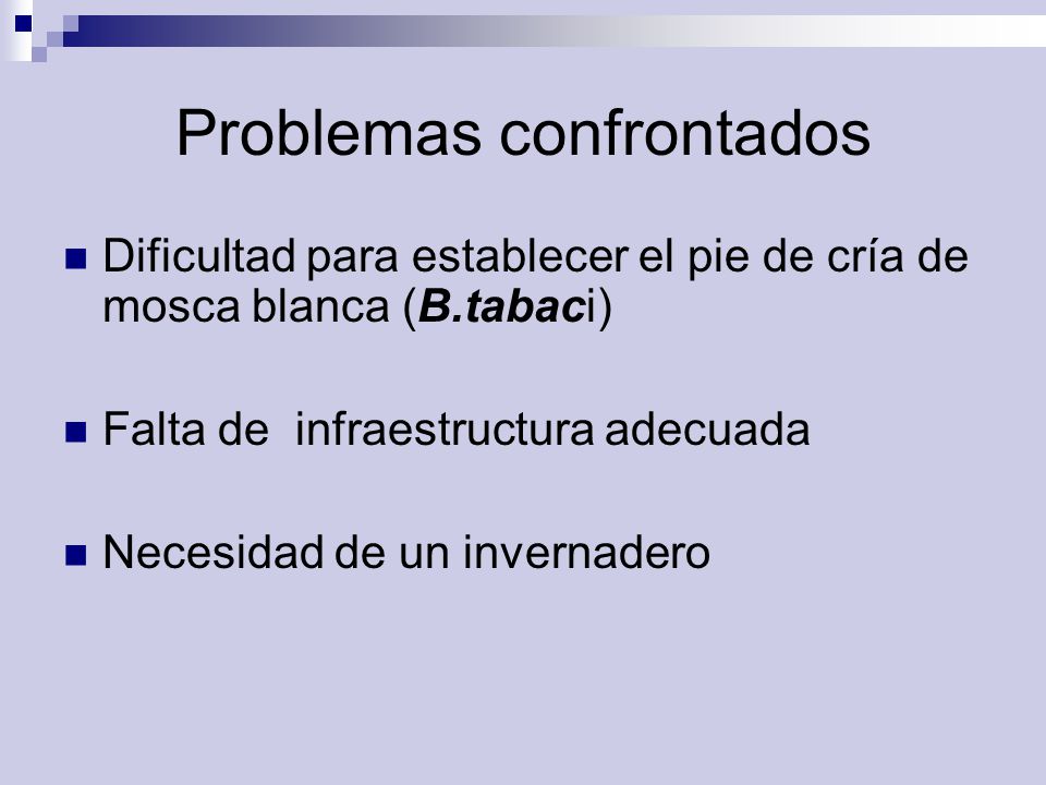 Problemas confrontados