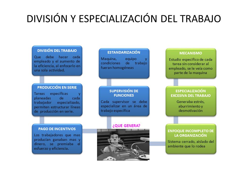 DIVISIÓN Y ESPECIALIZACIÓN DEL TRABAJO