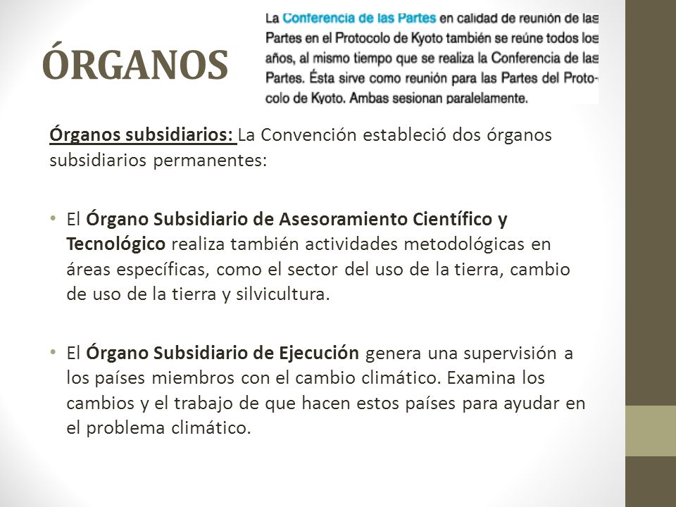 ÓRGANOS Órganos subsidiarios: La Convención estableció dos órganos subsidiarios permanentes:
