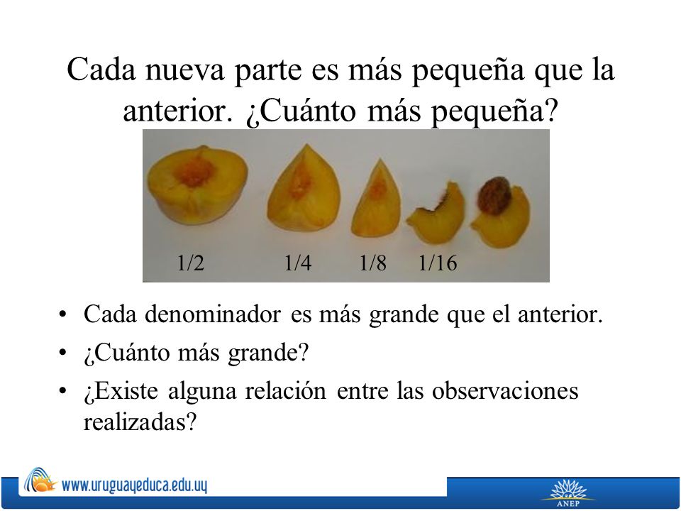 Cada nueva parte es más pequeña que la anterior. ¿Cuánto más pequeña